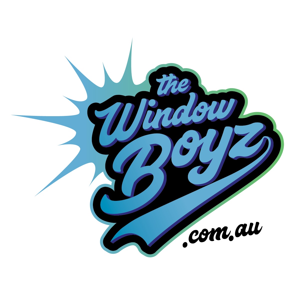 The Window Boyz